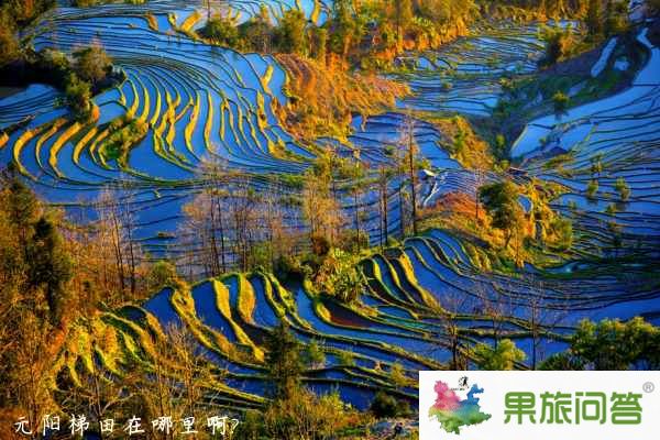 元陽梯田風(fēng)景