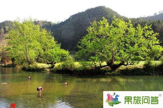 游客在羅平多依河空手抓魚_羅平多依河享受純粹的田園風(fēng)光